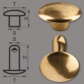 Doppelkopf-Hohlnieten Ziernieten 2-teilig 11mm "11/12/2" aus Eisen (nickelfrei), Finish: messing-glänzend (goldfarben)