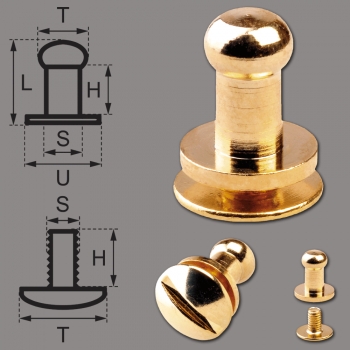 Button Screw Studs 4,5mm brass-glossy (gold colored)