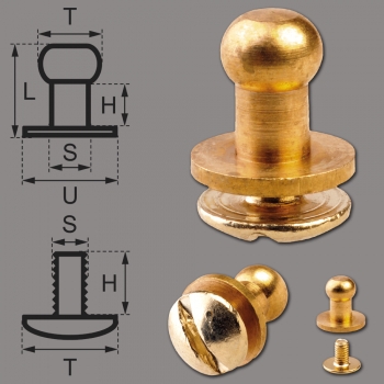 Button Screw Studs 5mm brass-glossy (gold-colored)