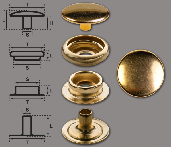 Brass (nickel free) Ring-Spring Snap Fastener Button 'F3' 14mm, Press Snap Button, Finish: Gold-Glossy (gold-coloured)
