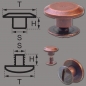 Preview: Screw Rivets 3MM copper-antique