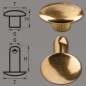 Preview: Double Cap Hollow Rivets 2-parts 11mm "11/12/2" Made of Iron (nickel free), Finish: brass-glossy (gold-coloured)