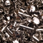 Preview: Screw Rivets 15MM nickel-glossy