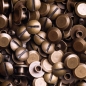 Preview: Screw Rivets 3MM brass-antique