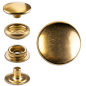 Preview: Brass (nickel free) Ring-Spring Snap Fastener Button 'F3' 14mm, Press Snap Button, Finish: Gold-Glossy (gold-coloured)