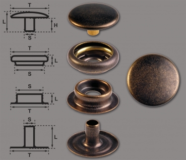 Finish nickelhaltig nickel-gl. Ringfeder-Druckknöpfe "F3" 14mm aus Eisen 