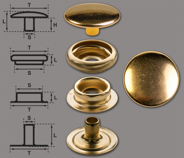 Brass (nickel free) Ring-Spring Snap Fastener Button 'F3' 15.5mm, Press Snap Button, Gold-Glossy (gold-coloured)