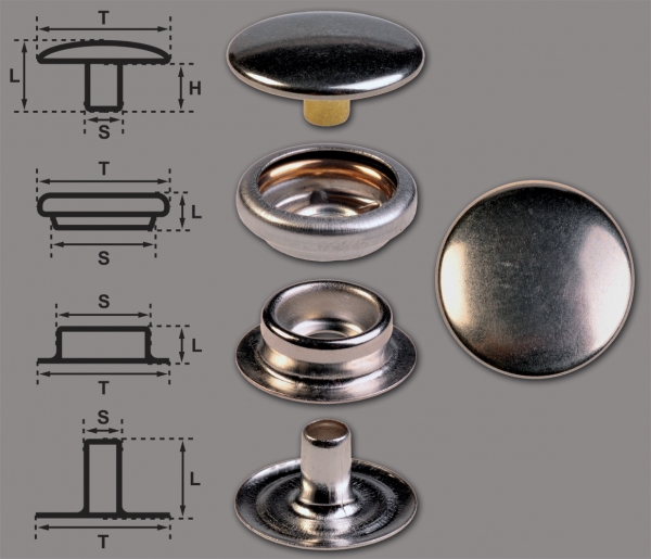Ringfeder-Druckknöpfe "F3" 15.5mm aus Eisen (nickelhaltig), Finish: nickel-glänzend