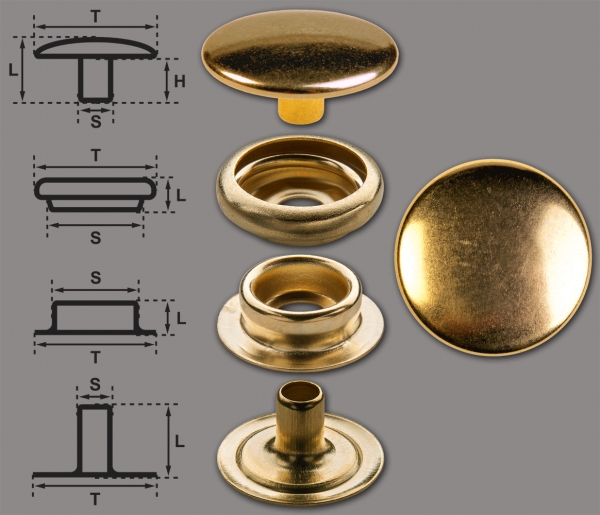 Ringfeder-Druckknöpfe "F3" 17mm aus Messing (nickelfrei), Finish: gold-glänzend (goldfarben)